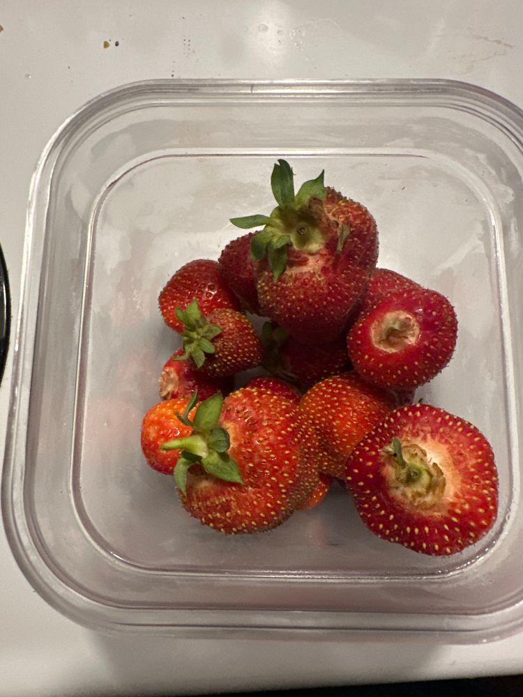 Fraises. 