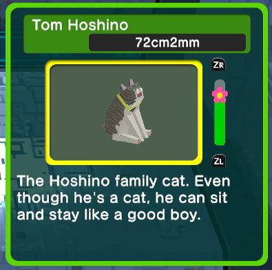 screenshot from katamari damacy, showing the entry log for tom hoshino, the hoshino family cat. he is a gray and white striped tabby in a sitting position. the text reads, "The Hoshino family cat. Even though he's a cat, he can sit and stay like a good boy." 