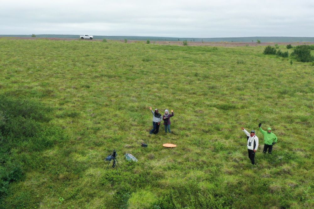 Helen Wheeler, Georgia Hole, Max Kotokak Jr and George Harrison in the field