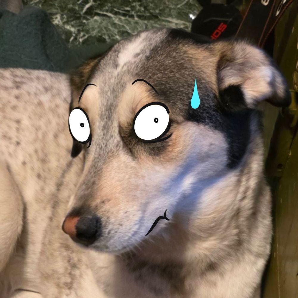 Mixed doggo with face drawn on