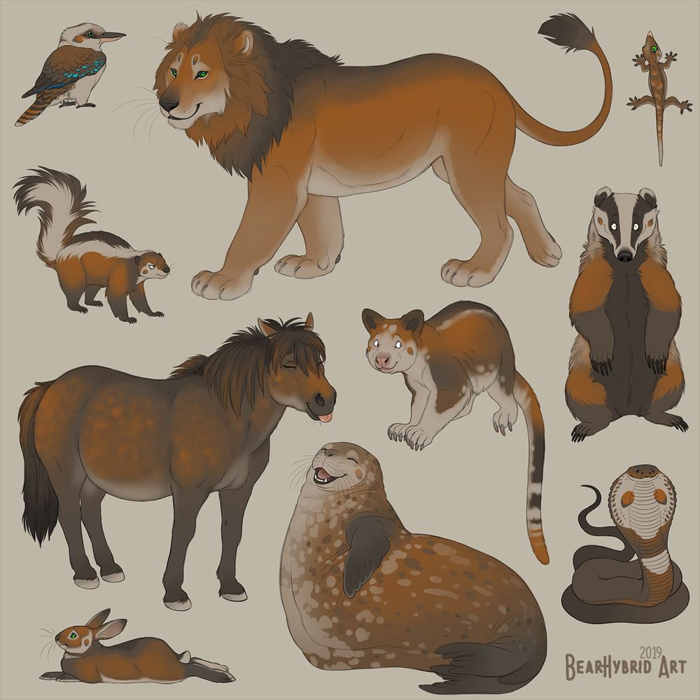 A same character in multiple animal forms with the markings and colors naturally translating across the different species. Kookaburra, maned lioness, crested gecko, striped skunk, shetland pony, tree kangaroo, european badger, king cobra, spotted seal and european rabbit.