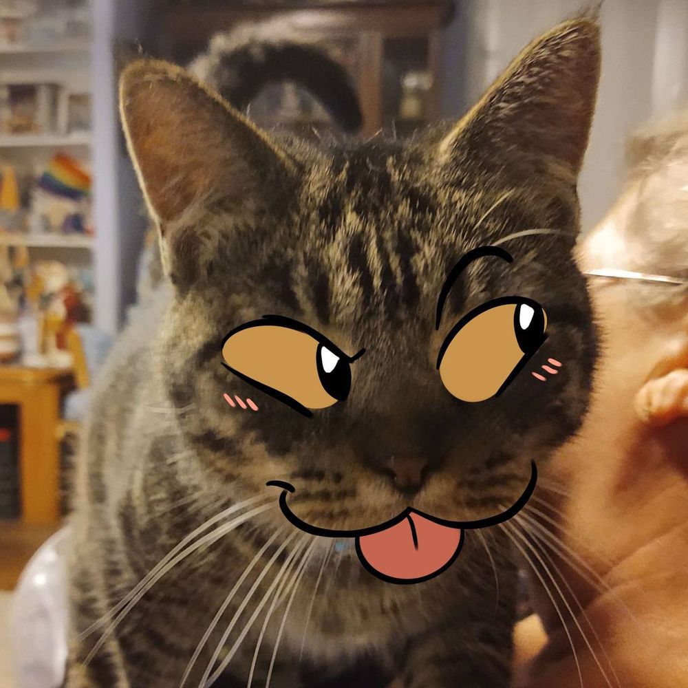 kitty with face drawn on