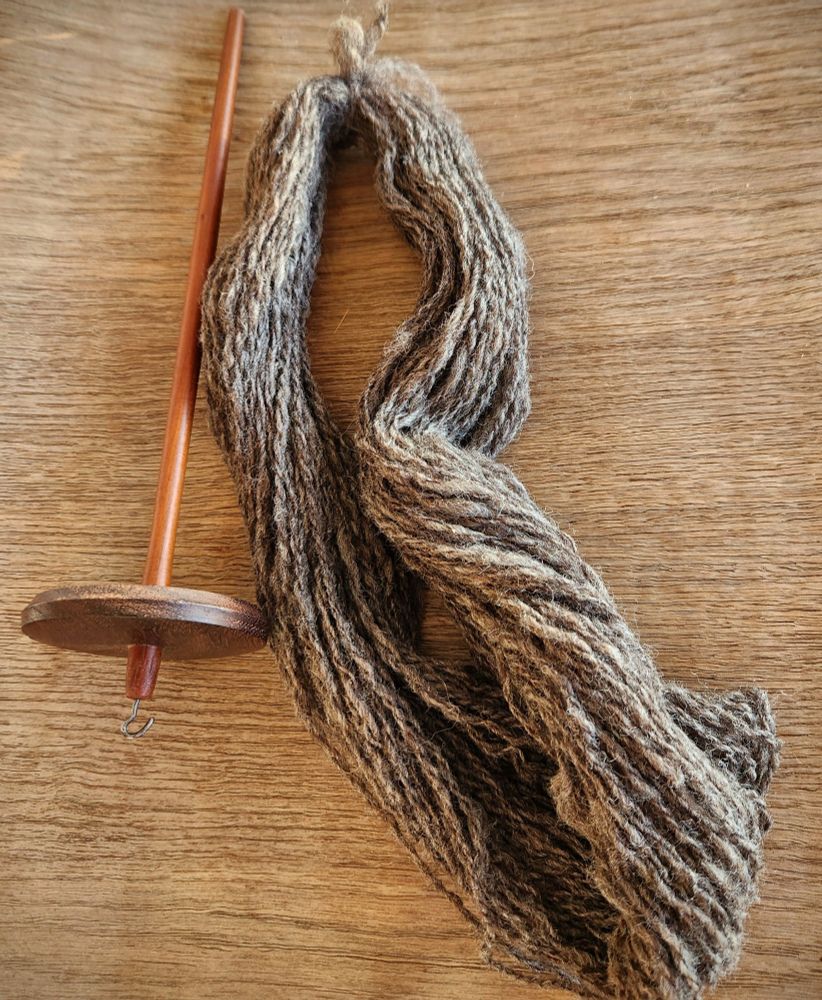 An ounce of handspun yarn, using roving from the Full Circle Wool website, www.fullcirclewool.com, in Cobblestone Grey, next to the drop spindle used to spin it. Yarn color is a heathered brown-grey.