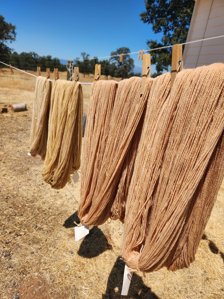 Yarn in shades of desert sunset pink and yellow hang on a clothesline, blue sky in background