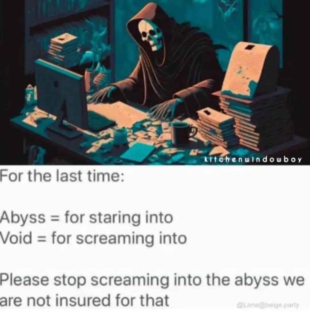 On top is a picture of a skeleton wearing a brown robe like a monk. The skeleton is sitting at a decrepit desk with books and a monitor on it, with more shelves in the background, all moldy. Below it is the following text:

For the last time:
Abyss = for staring into 
Void = for screaming into

Please stop screaming into the abyss, we are not insured for that