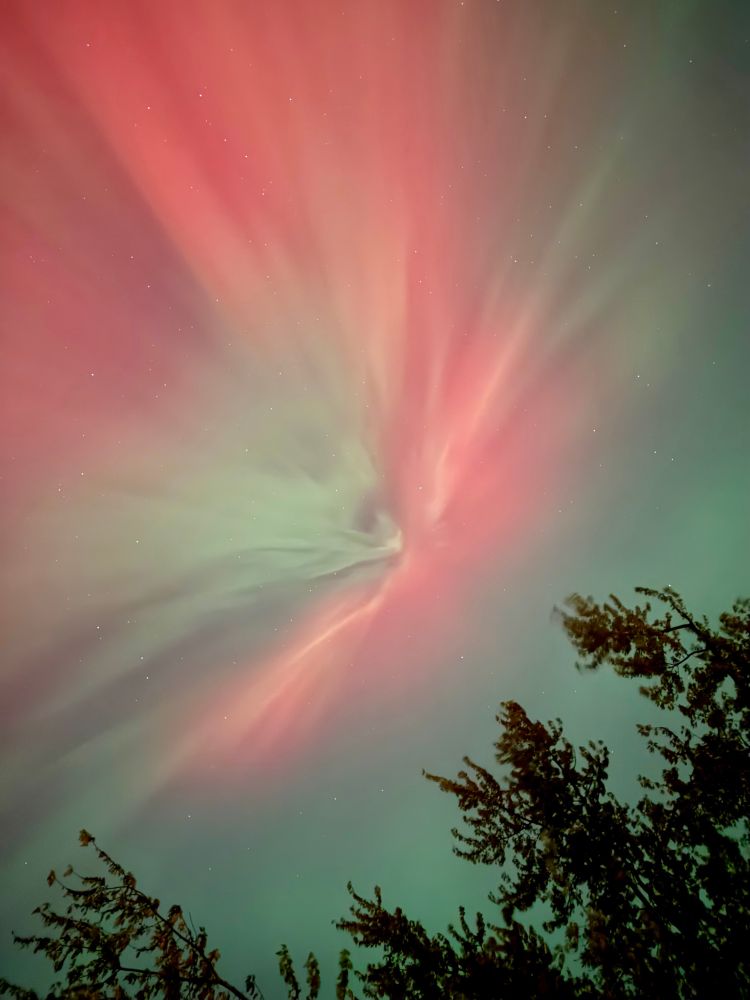 Red and green Aurora over tree branches 