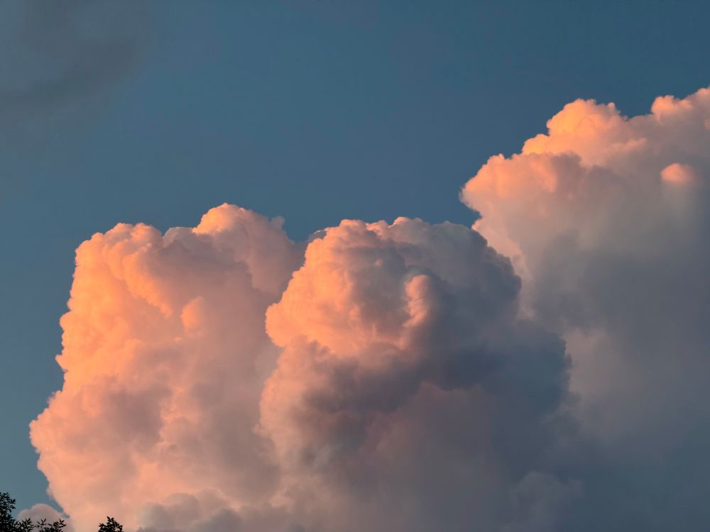   Golden hour clouds against an evening blue sky.  I see L to R: daisy kong, crocodile bad guy or the Ice Age squirrel, and Galactus looking upwards