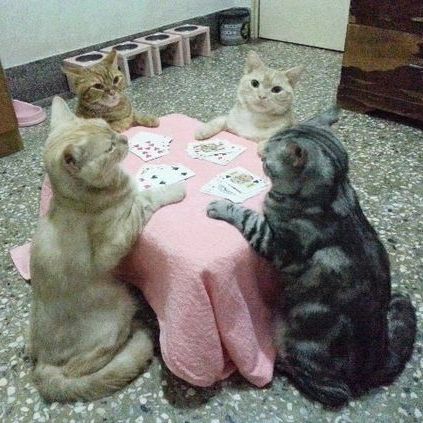 A Pixel Art Redraw of 4 cats, reunited in a table, with each cat having some cards (They're probably playing Poker). Don't ask me from where I find these pictures.