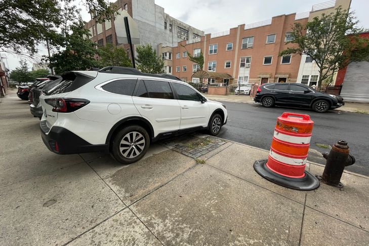 A Hell Gate investigation reveals that the Parks Department has canceled tree plantings near NYPD precincts where cops park on the sidewalk.