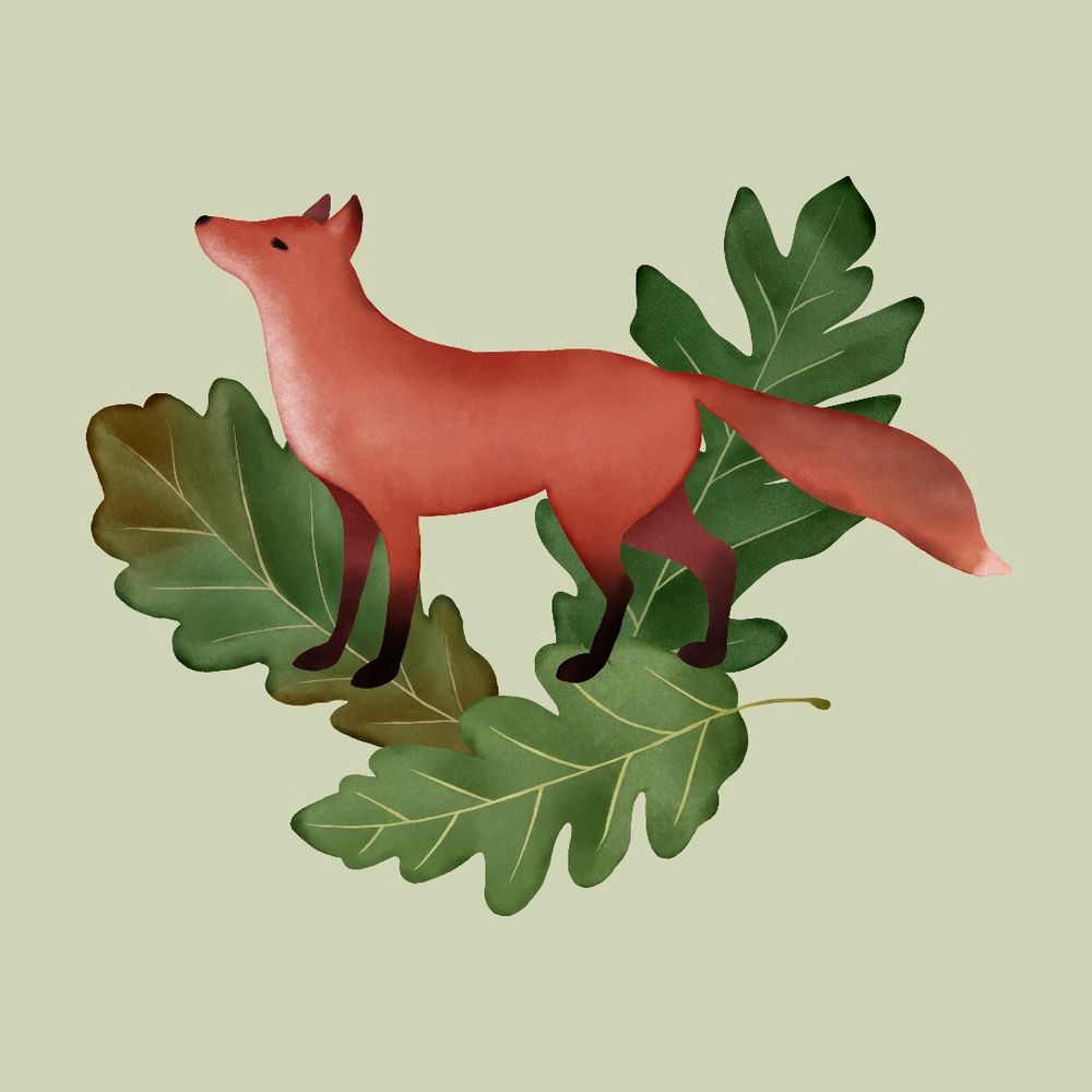 Digital watercolour illustration depicting a fox against a backdrop of three large oak leaves.

Oak Tree Tales - Fox

It wasn’t only people who found the oak irresistible. Many animals were drawn to it as well. Each dawn and twilight, a fox from the nearby forest could be seen admiring the oak’s beauty.