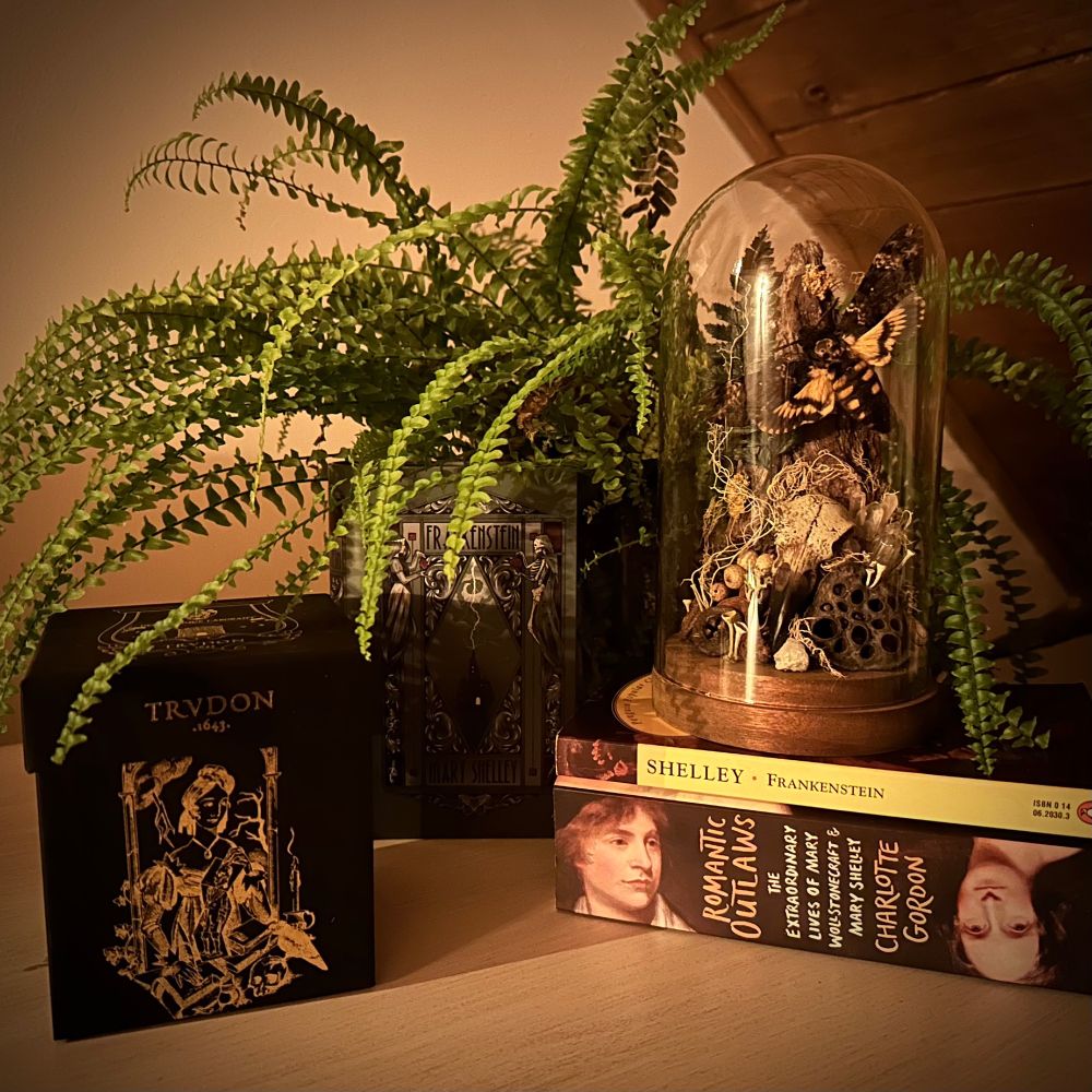The photo shows a night still life with the book Romantic Outlaws by Charlotte Gordon and Frankenstein by Mary Shelley. In the background is a potted fern and on the left is a box with a Trudon candle dedicated to Mary Shelley.