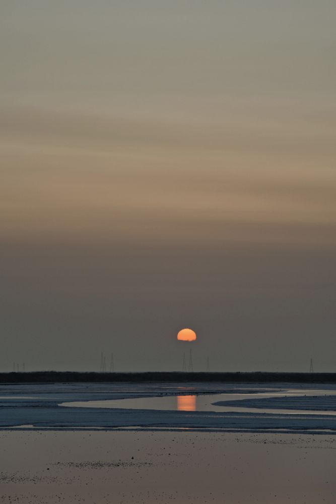 Sunset in California shot in alviso marina park