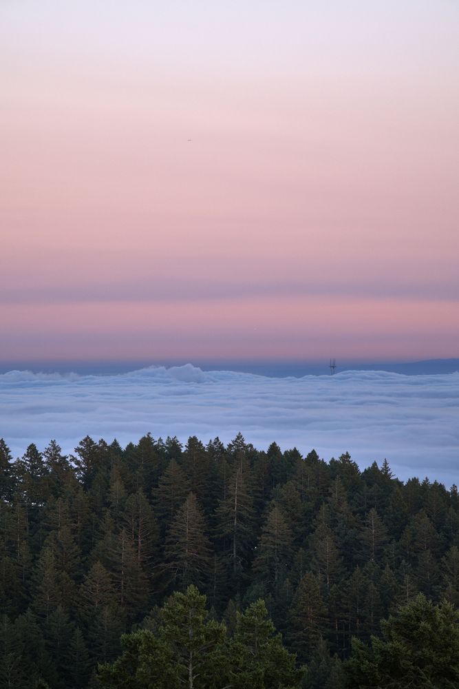 Photo of cloud inversion from Mount tamalpais California 