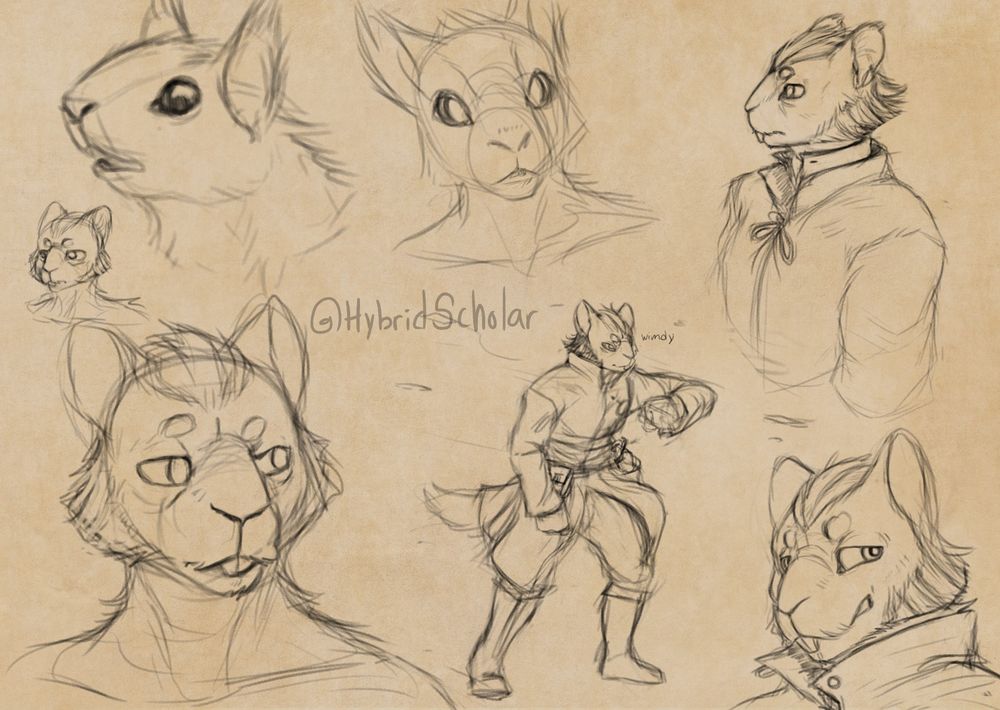 Digital sketches of a red squirrel referencing an image of a real squirrel, and then multiple pictures of an anthropomorphic chipmunk, busts and full body sketches. One has the character walking in the wind