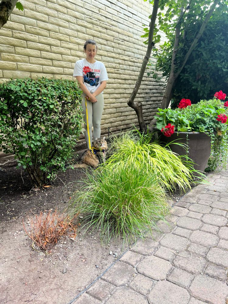A PNW woman walking her cat