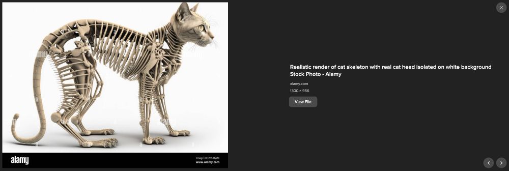 An image search result of a comically inaccurate AI-generated cat skeleton with a fully furred head, labeled "Realistic render of cat skeleton with real cat head isolated on white background Stock Photo - Alamy."

The cat skeleton has ribs in its neck, ribs inside its legs, a front _and_ back pelvis, no discernible shoulder joints,a tail made of a chain of solid bone cylinders, and "fur" bones.