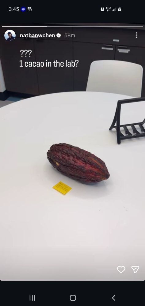 a cacao pod sitting on a white table, captioned "??? 1 cacao in the lab?"