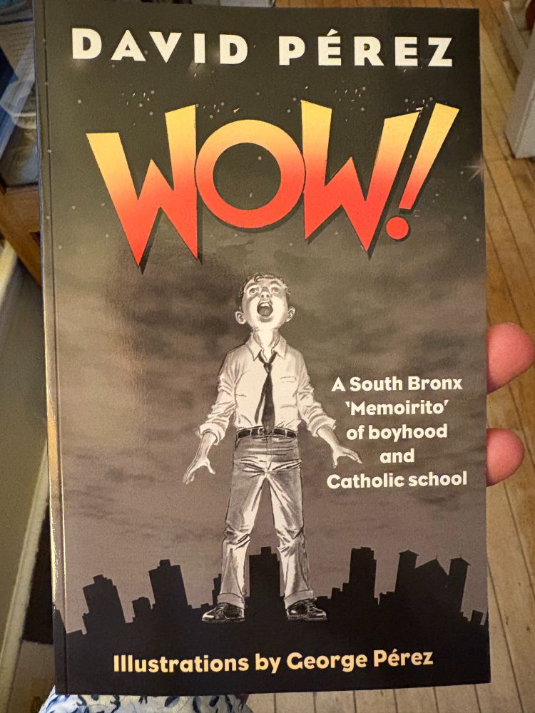 The cover for David Pérez's memoir -- WOW! -- which includes illustrations by his brother, George, my favorite comic book arts. Tagline: "A South Bronx 'Memoirito' of boyhood and Catholic school" 
A young boy in a button up shirt (sleeves rolled up) and a tie (loosened) looks up to the sky, overlaid onto a silhouette of the New York skyline (we can assume the Bronx) with grey clouds receding up the cover to the stars above. Art by George Pérez.