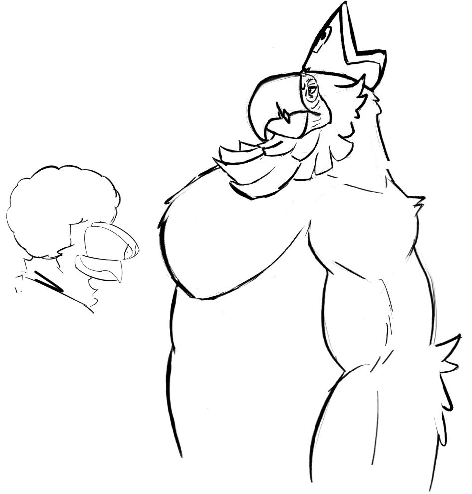 Side view of a large, muscular anthropomorphic macaw wearing a pirate's hat. There is a crudely drawn anthro owl on the opposite side, with his eyes cartoonishly popping out, staring at the macaw's pectorals, in a reference to the Pepe the Frog "booba" meme.