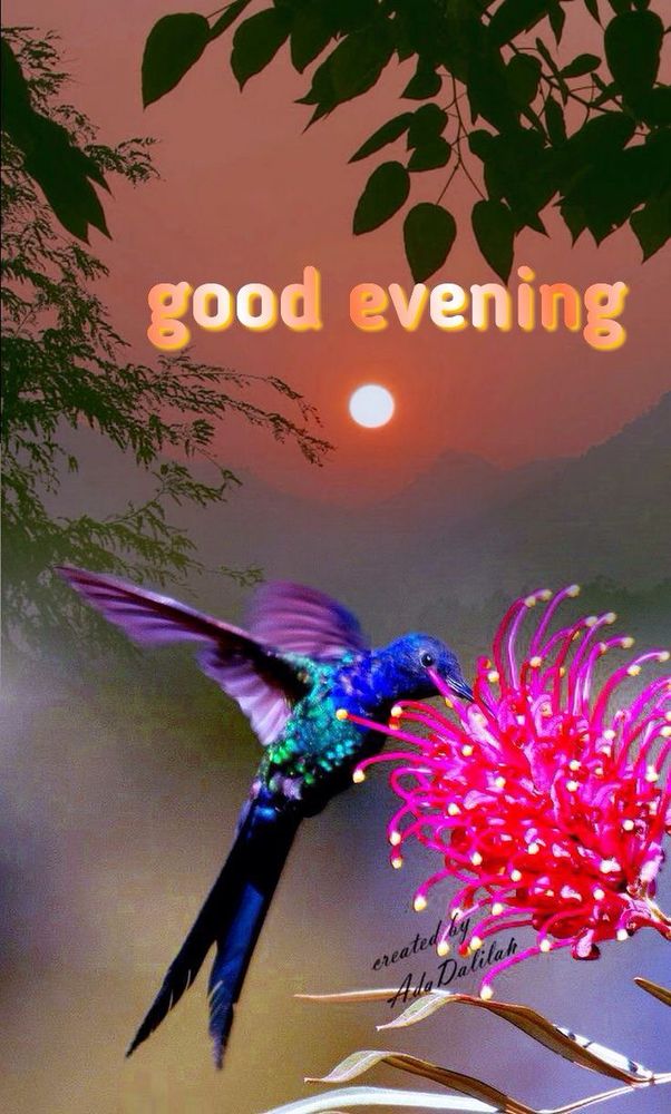 Comment image