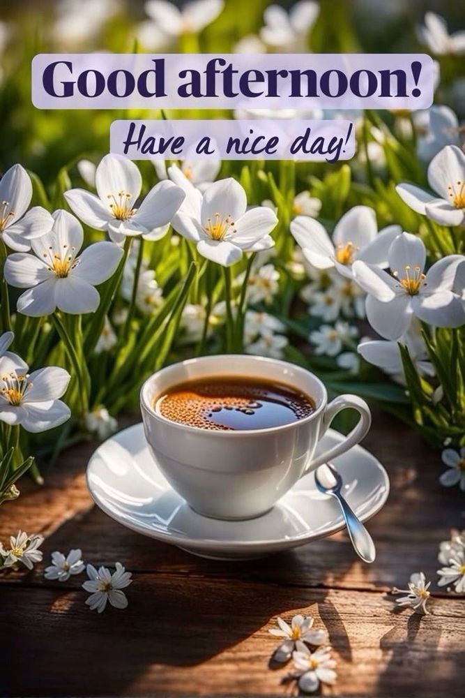 Comment image