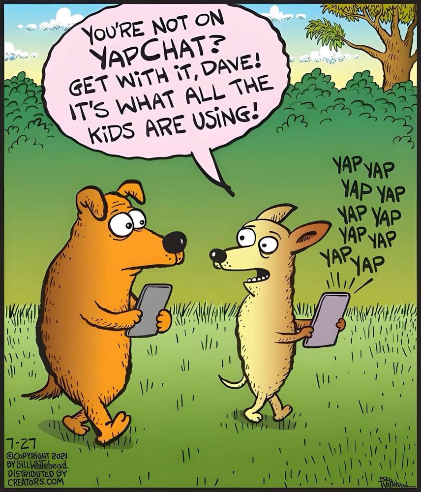 Comment image
