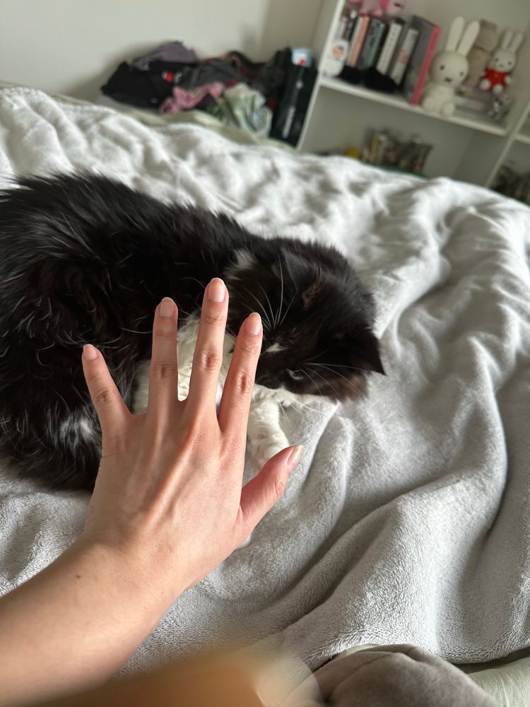 Mamiis left hand in front of their cat moon who is a black and white tuxedo cat 