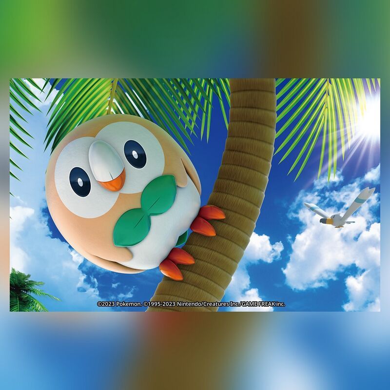 Art of the Pokemon Rowlett. It holds to the trunk of a palm tree, or perhaps an Alolan Exeggutor. It cocks its head as though curious about the viewer. A Wingull flies by in the background, paying no attention. 