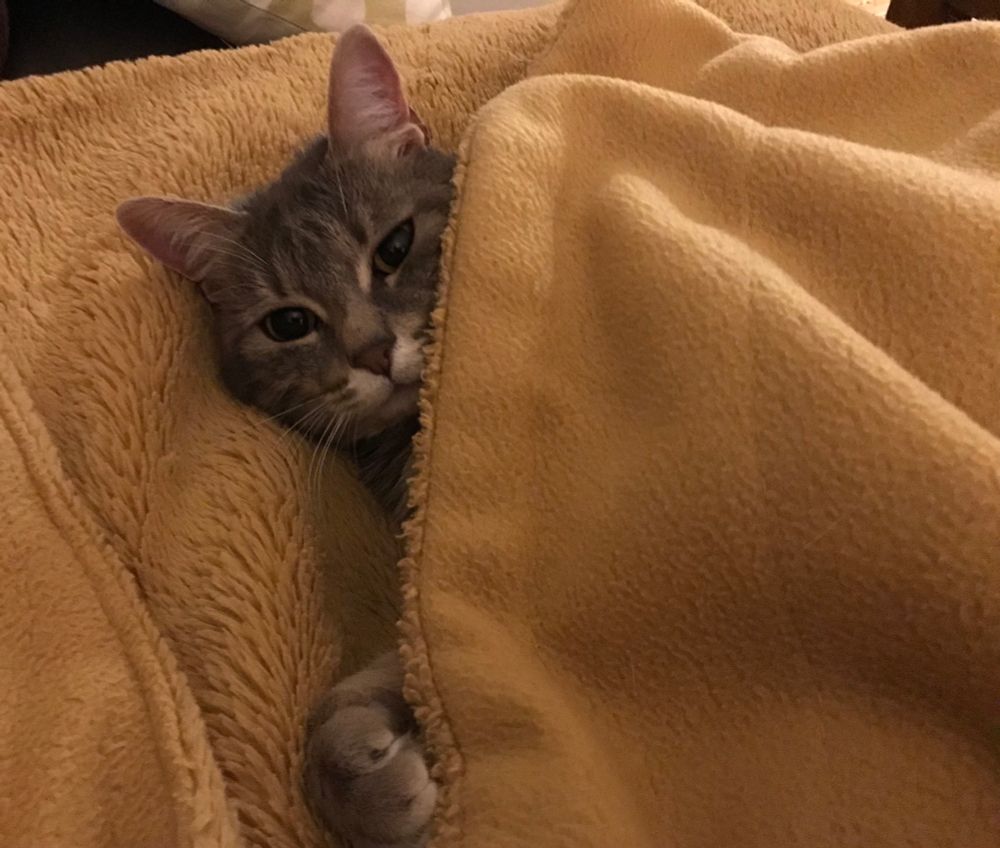 Iris est emmitouflée dans son plaid 