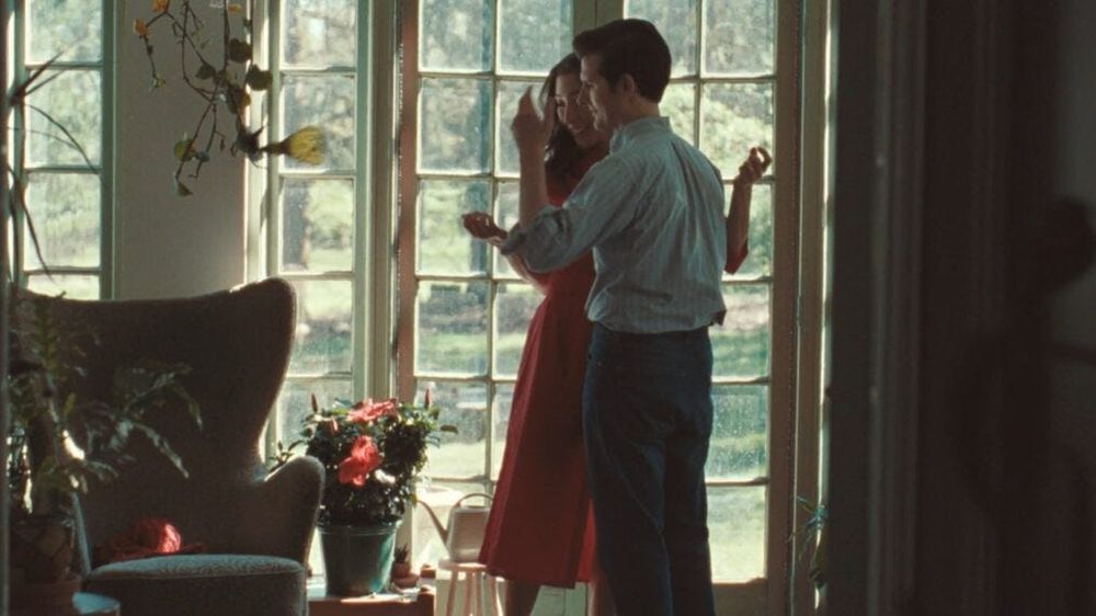 mark and gemma scout from severance episode chikhai bardo. they are standing near some windows, close together their hands slightly in the air. there is a chair and flowers in a pot near them. 