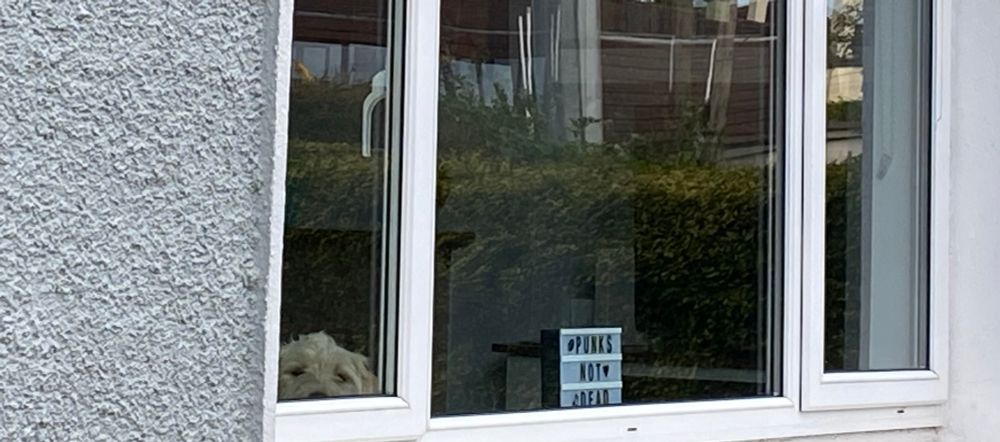 The upper part of a dog’s head and particularly their eyes is visible in the bottom quarter of a large window. The dog is looking out at the departing people  