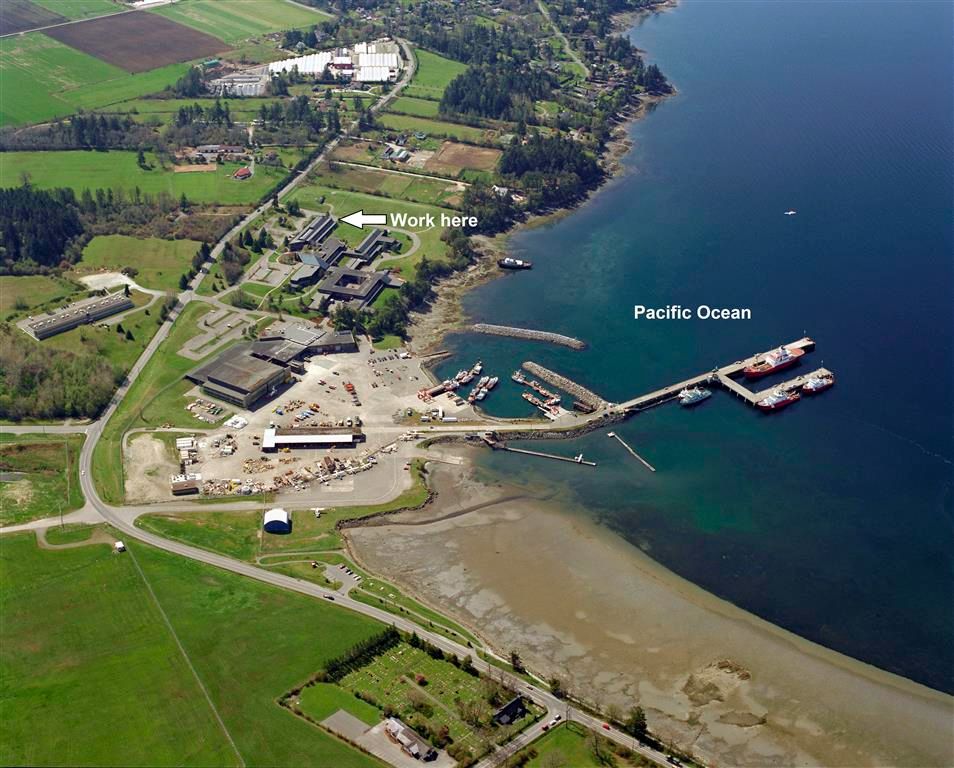 Photo showing buildings of the Pacific Geoscience Centre and Institute of Ocean Sciences located between farmland and the Pacific Ocean (Patricia Bay, near Victoria, British Columbia, Canada). Coast Guard docks are also visible in the photo.