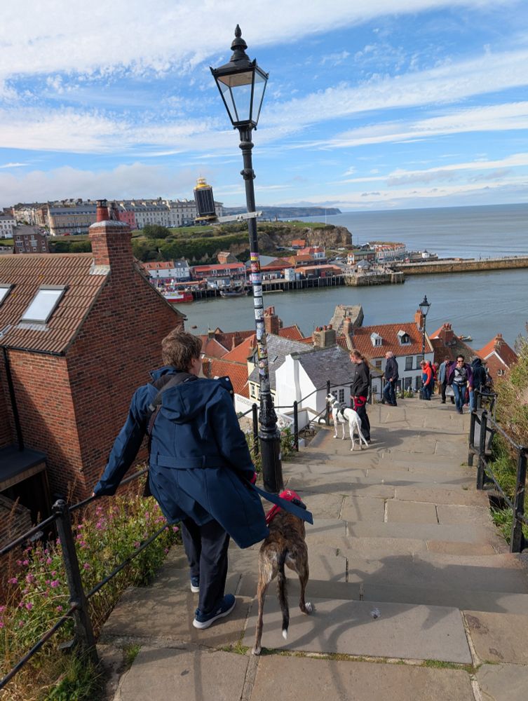 Back down the 199 steps,  having just collapsed laughing at some woman at the top saying "199 steps they say, bloody liars"