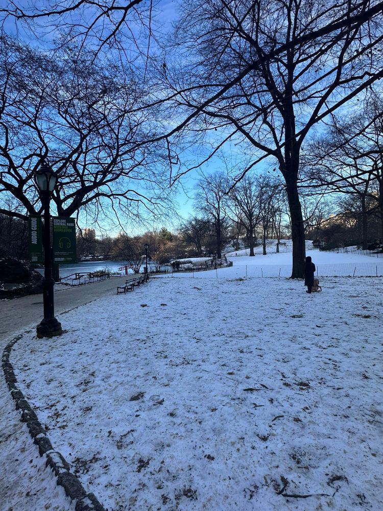 Snowy Central Park 