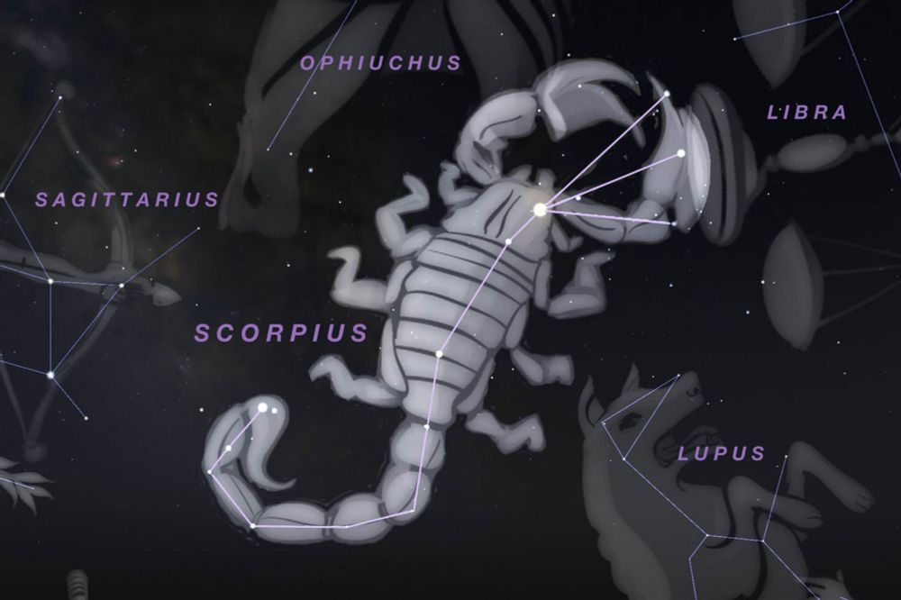 July Podcast: Scorpius in the Spotlight