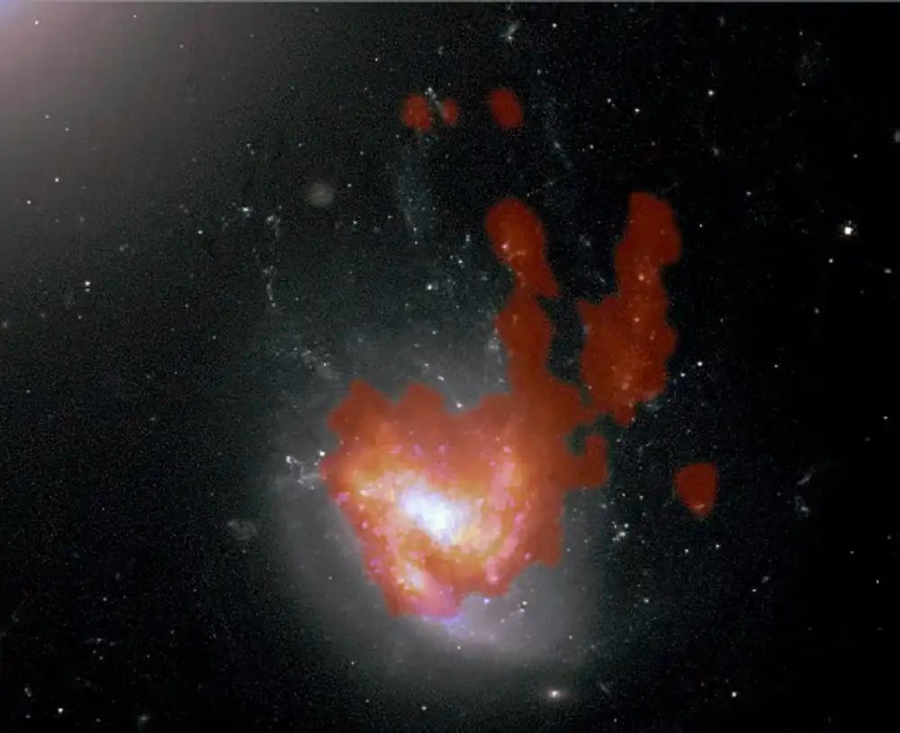 Jellyfish Galaxy Sheds Spiral Arms in “Bunny Ear” Tails