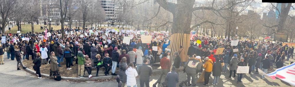 Crowds