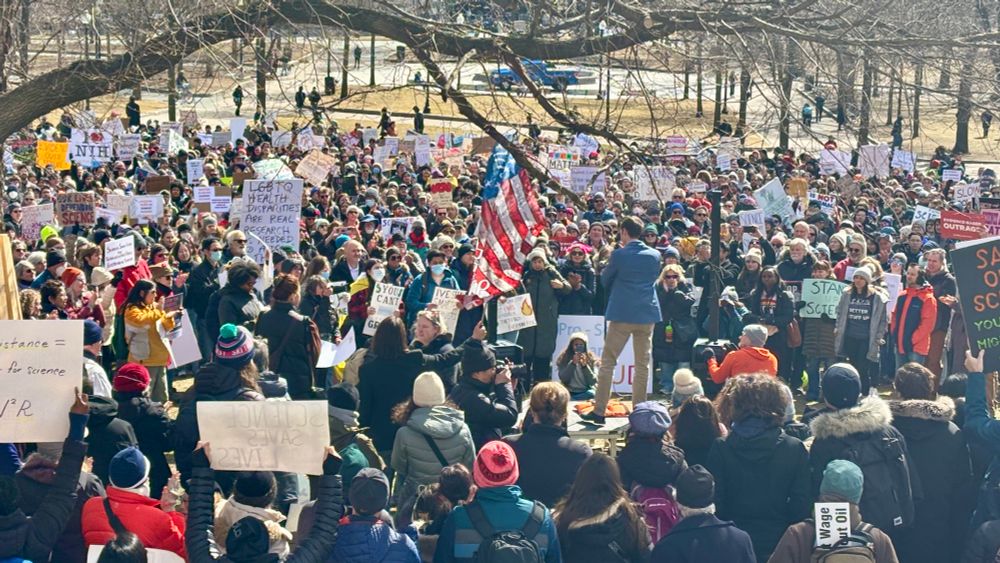 Crowds