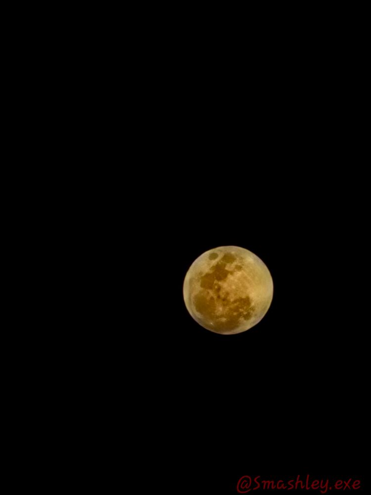 Worm blood moon eclipse 03/13/25