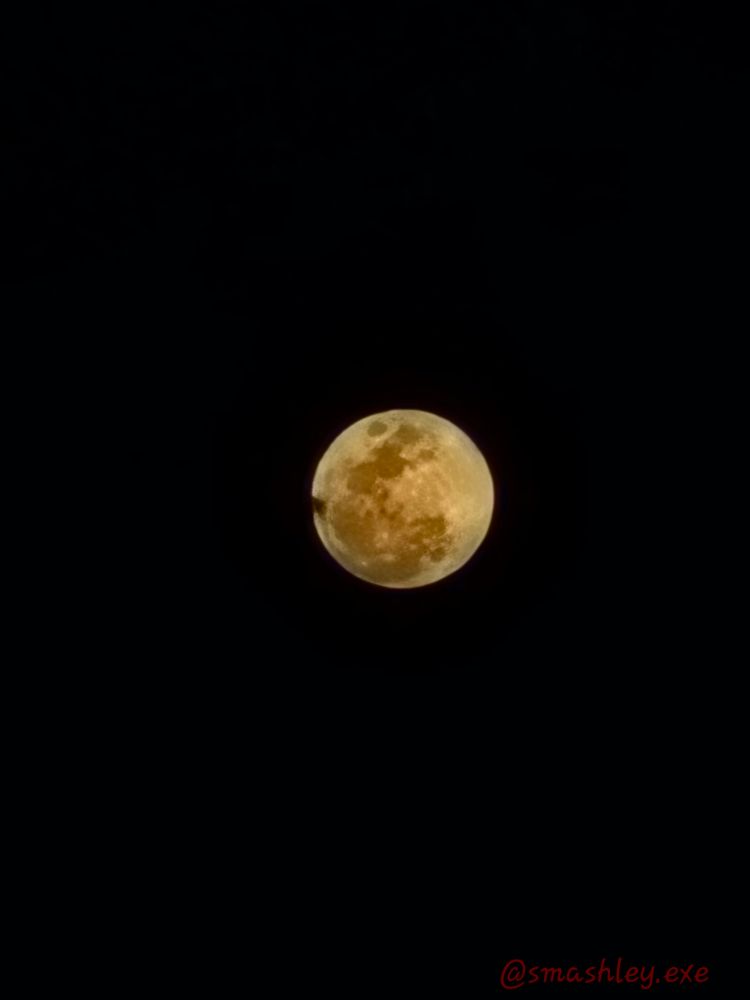 Worm blood moon eclipse 03/13/25