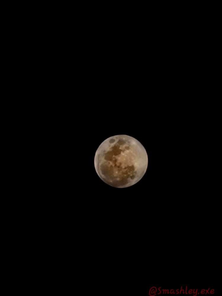 Worm blood moon eclipse 03/13/25