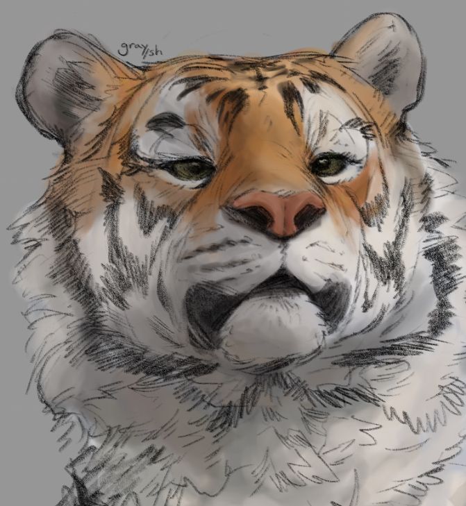 portrait of an anthropomorphic tiger looking past the camera. #furry #furryart #art