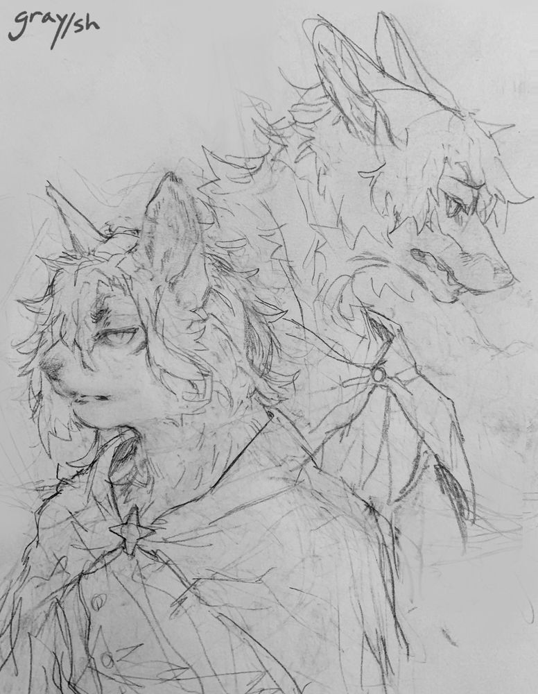 A black and white pencil drawing of an anthropomorphic cat and fox facing different directions as the cat walks past them. The fox has a worried expression while the cat appears serious. They are both wearing cloaks, though the cat's is adorned with a four pointed star that pins the cloak together. #art #furryart