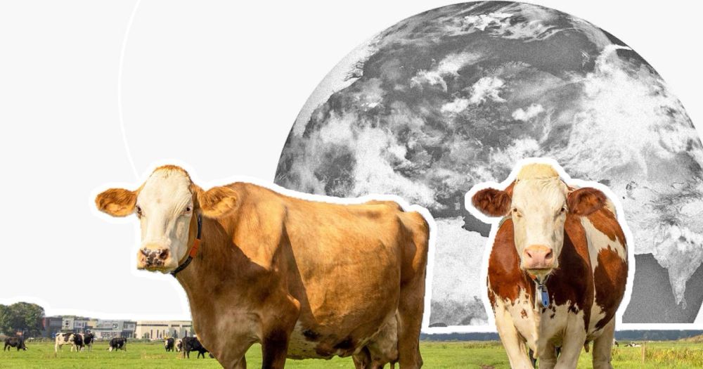 How food and farming will determine the fate of planet Earth