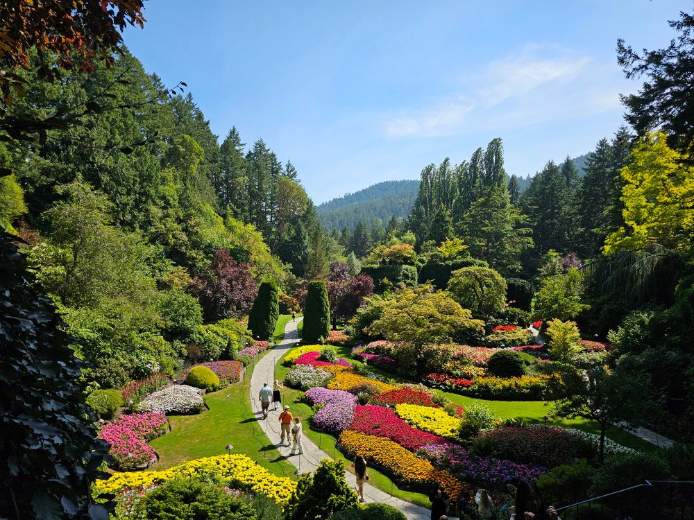 Butchert Gardens, Victoria BC in full bloom in August this summer. Colorful flowers, green trees and bushes in various sizes. Splendid views.