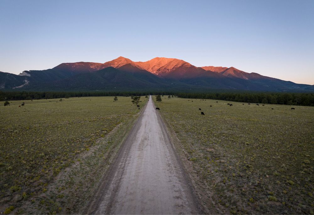 A dirt road stretches toward a mountain range gently lit by the sunrise.