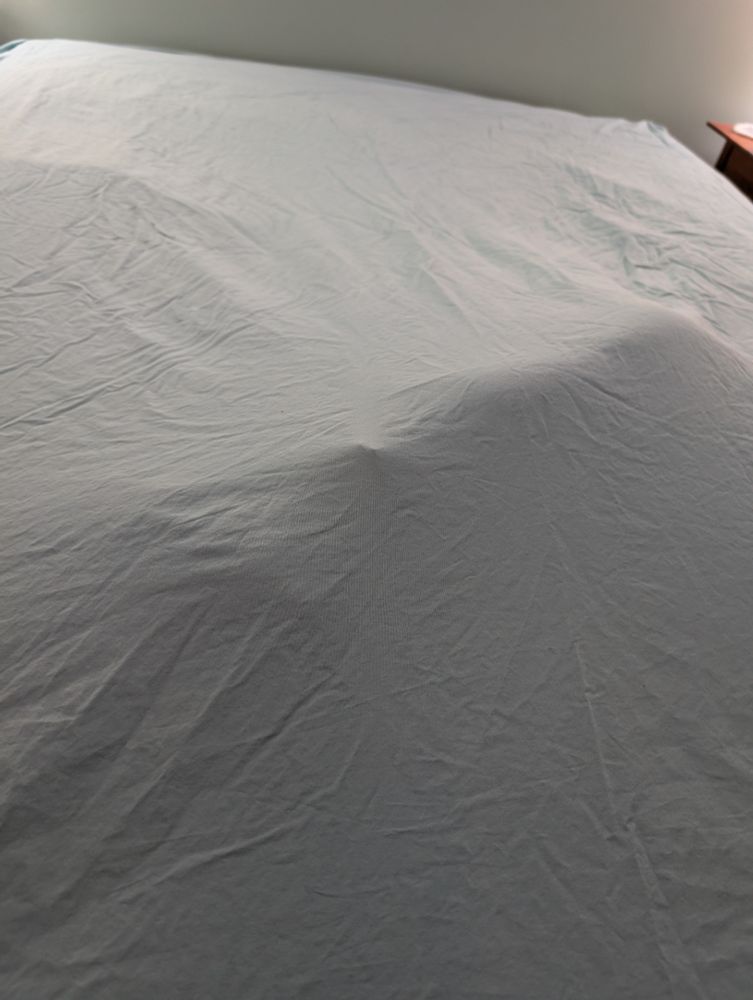 A bed made with just a pale green fitted sheet. There's a vaguely dog shaped lump in the middle of the bed, despite the fact that the sheet is clearly stretched across all 4 corners of the bed. 