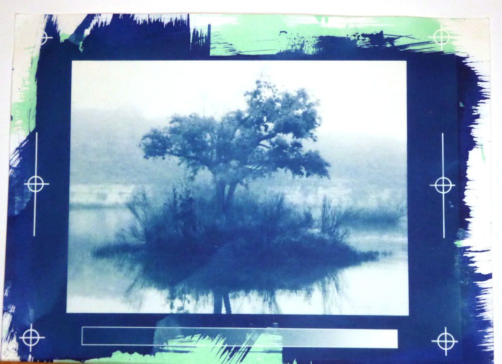 Gumbichromate print over cyanotype, depicting a small island in the middle of a lake. The island is just big enough for medium sized tree and some bushes. The print is green ink over cyanotype base.