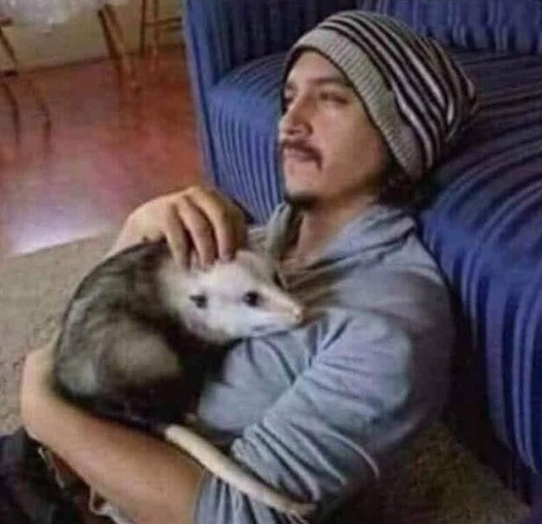 A person wearing a striped beanie and a gray shirt sits on the floor, leaning against a blue couch, gently holding and petting a possum in their arms.