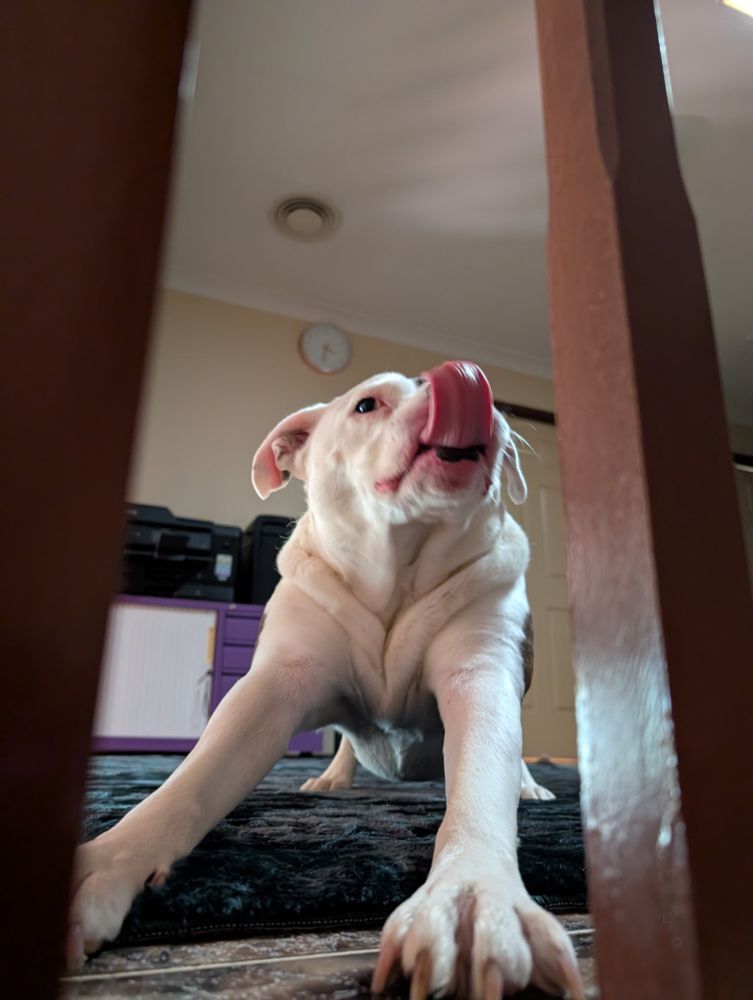 He's my sweet cheese.